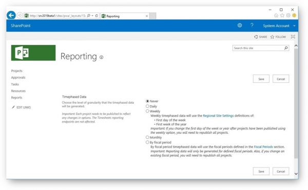 Microsoft Project Reporting