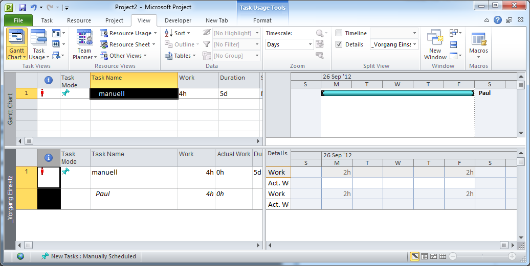 Microsoft Project Kalander