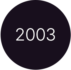 2003 - SOLVIN fokussiert sich immer mehr auf die Projektmanagement-Beratung und -Digitalisierung
