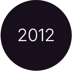2012 - SOLVIN geht mit Project Online in die Cloud
