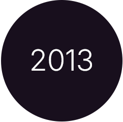2013 - SOLVIN Process Package