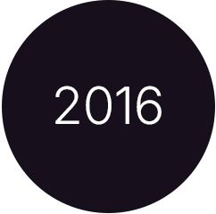 2016 - SCF - SOVIN Consulting Framework