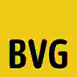 SOLVIN Projektmanagement und Portfoliomanagement – KUNDE BVG